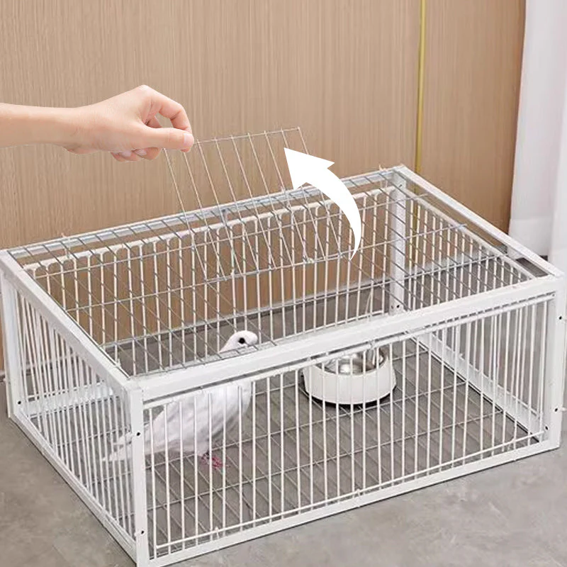 AutoTrap Bird Cage - Entry Only, No Exit - Image 4
