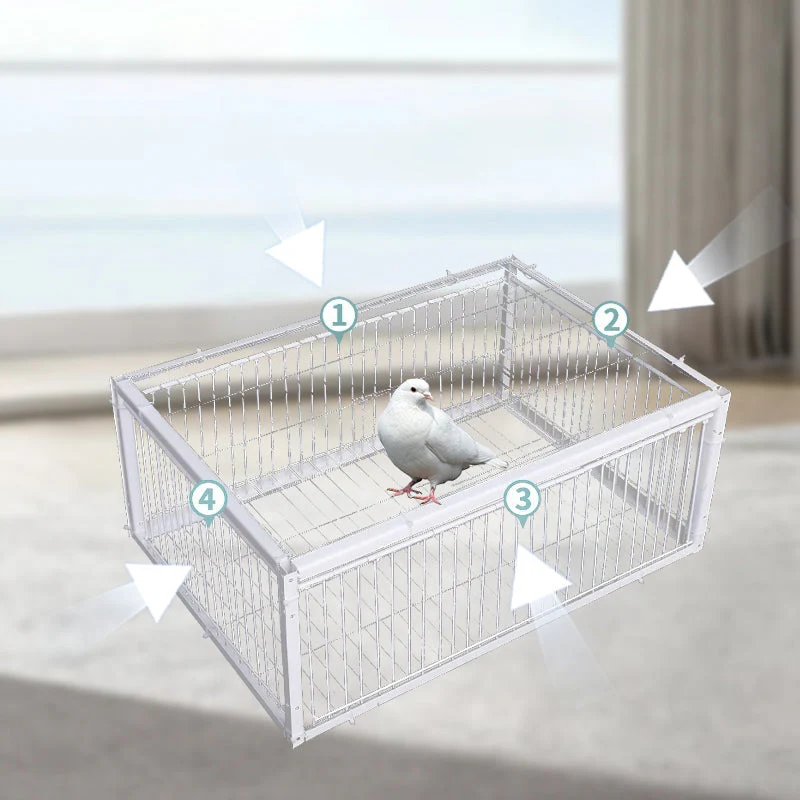 AutoTrap Bird Cage - Entry Only, No Exit - Image 5