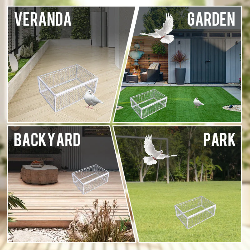 AutoTrap Bird Cage - Entry Only, No Exit - Image 8