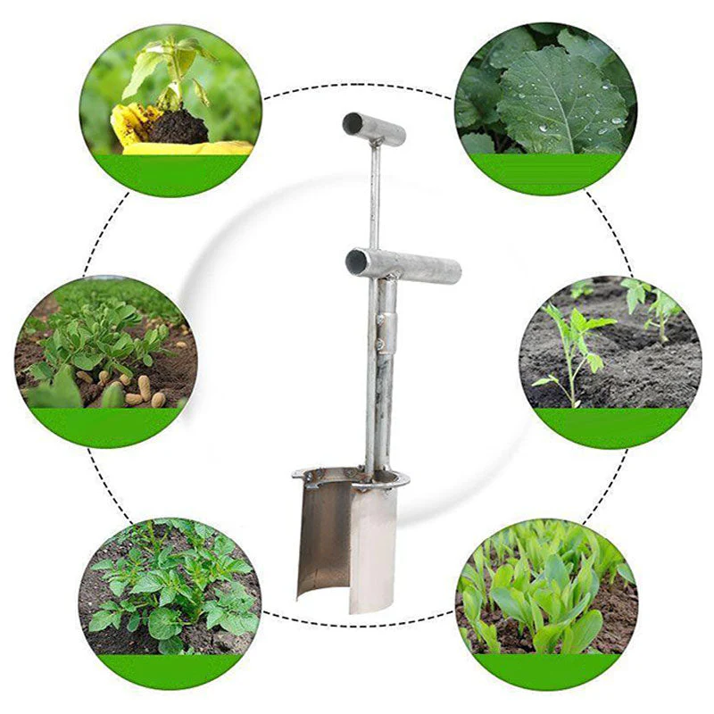 Plant and fruit tree seedling transplanter - Image 2